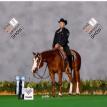 Hottified at the 2017 APHA World Show
