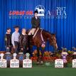 Huntified at the 2017 AQHA World Show
