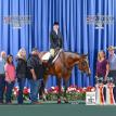 2019 AQHA Level 1 Championships