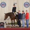 Huntified at the 2013 All-American Quarter Horse Congress