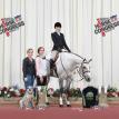 Hunting Blue Skies 2018 AQHA Congress