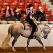 Hunting Blue Skies 2018 AQHA Congress