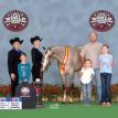 Hunting Blue Skies 2015 APHA World Show