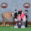 Hunting Blue Skies 2015 APHA World Show