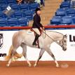 Hunting Blue Skies 2017 APHA World Show