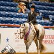 Hunting Blue Skies 2018 Youth APHA World Show