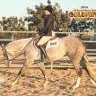 Hunting Blue Skies 2016 Goldmine Circuit Show