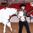 Too Late To Paint 2019 APHA Western National Championships